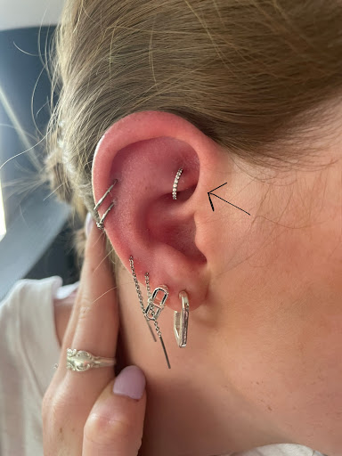 Explore sealife tattoo ideas, creative tattoo ideas in Myrtle Beach, available at Elite Body Piercing