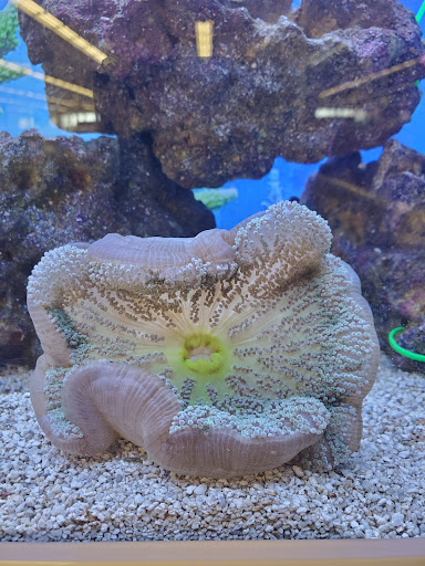 Pet Supply Store «Petco Animal Supplies», reviews and photos, 2140 E Blvd St, Kokomo, IN 46902, USA