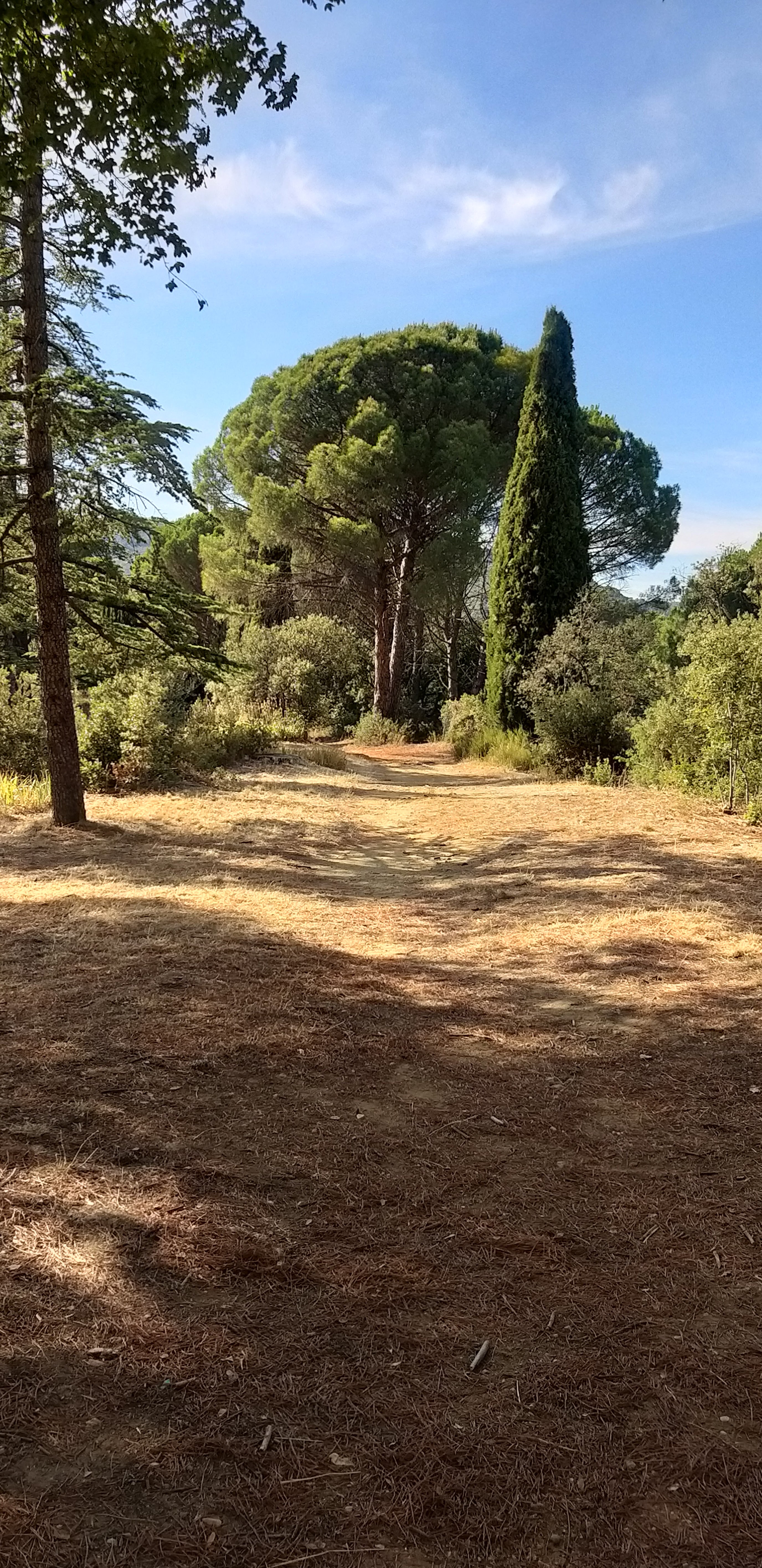 Photo n° 36 de l'avis de unmecdesannees80. fait le 27/08/2019 à 18:09