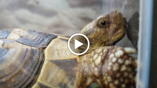 Pet Supply Store «Petco Animal Supplies», reviews and photos, 3320 Stockton Hill Rd, Kingman, AZ 86409, USA