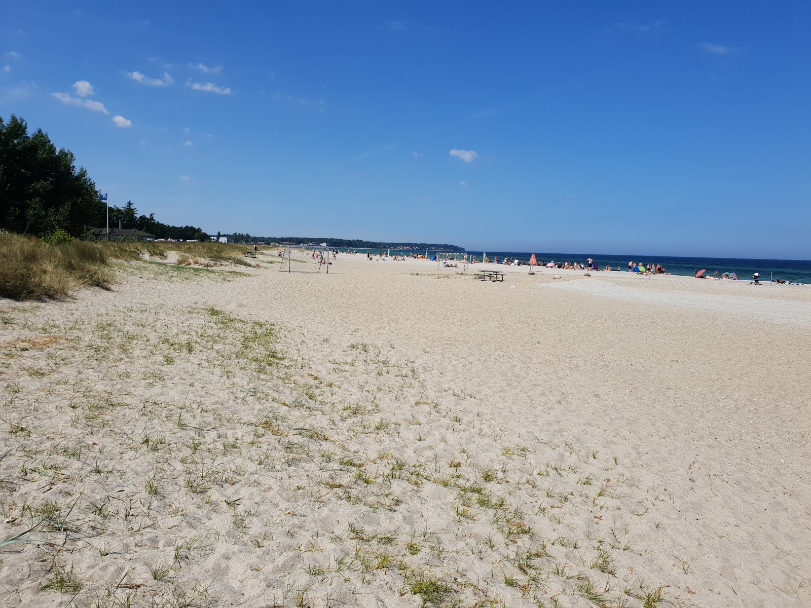 Nyborg Beach'in fotoğrafı geniş plaj ile birlikte