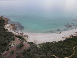 Foto di Castle Rock Beach con una superficie del acqua cristallina