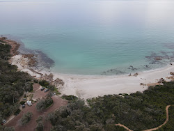 Castle Rock Beach'in fotoğrafı geniş bir kıyı şeridi ile birlikte
