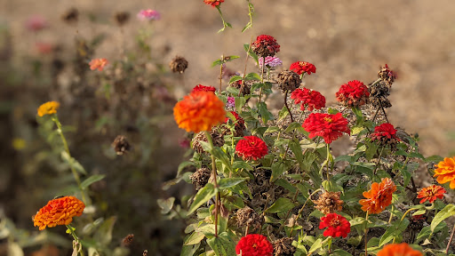 Farm «Houlden Farms», reviews and photos, 139 Old Westboro Rd, North Grafton, MA 01536, USA