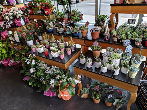 Grocery Store «Harmons Emigration Market», reviews and photos, 1706 1300 S, Salt Lake City, UT 84108, USA