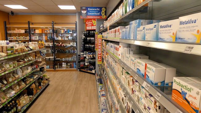 Eyelove Brillen XL (bij Drogisterij Doolaege) - Opticien