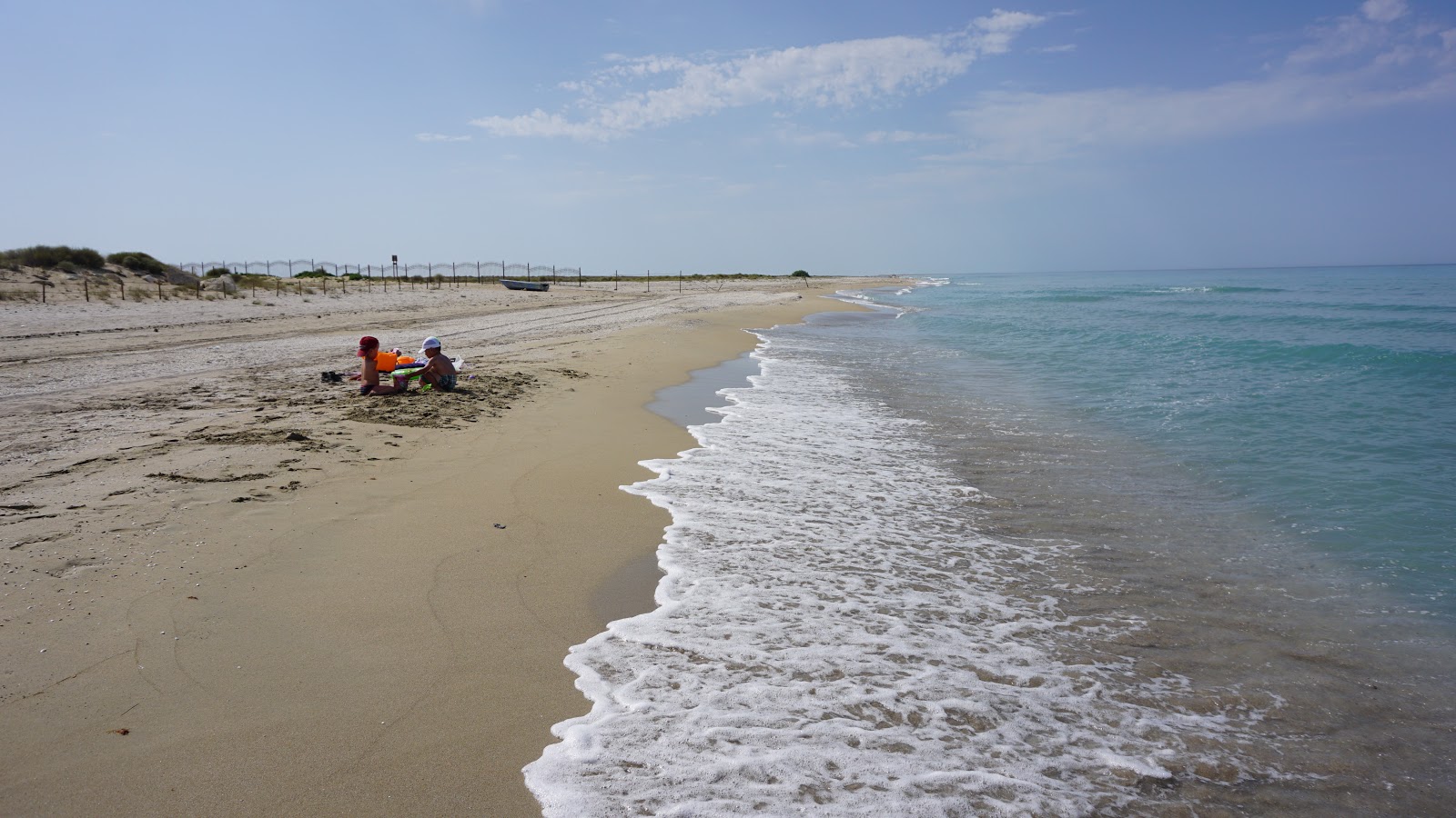 Alau beach的照片 带有长直海岸