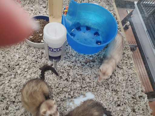 Pet Supply Store «Pet Supermarket, Inc.», reviews and photos, 3911 Lemmon Ave, Dallas, TX 75219, USA