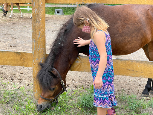 Horse breeder Ottawa