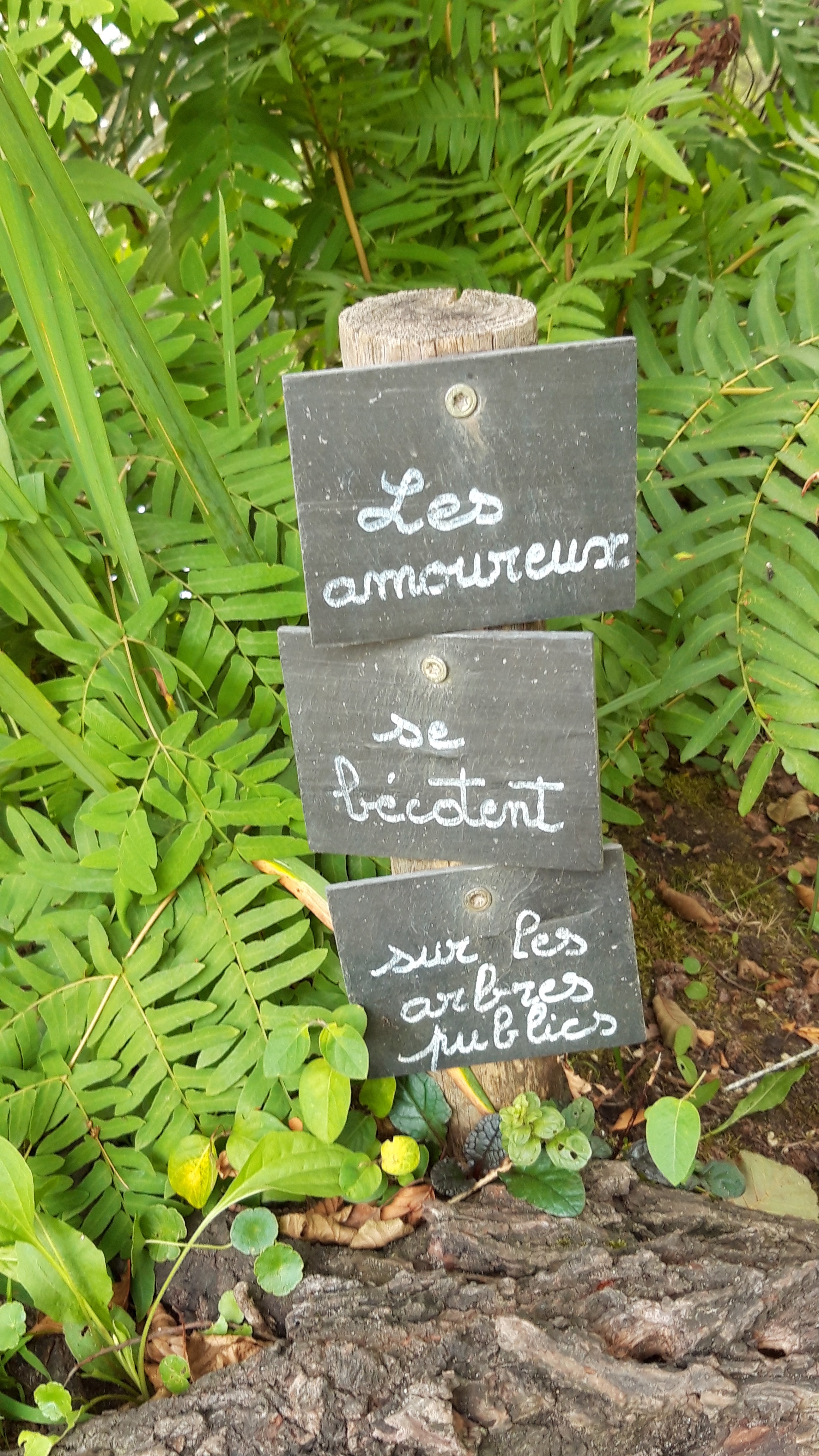 Photo n° 4 de l'avis de Helene.o fait le 30/07/2023 à 06:22