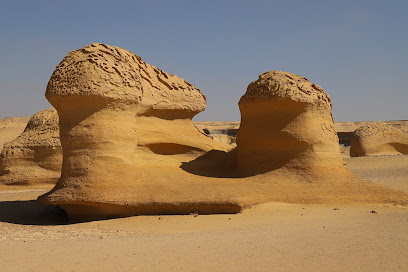 Wadi El Hitan