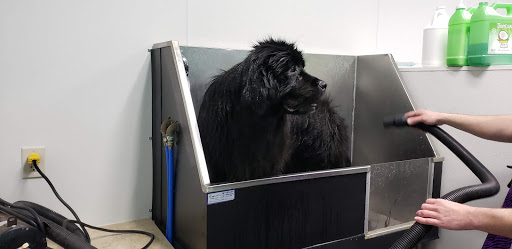 Pet Store «Animart», reviews and photos, 4303 E Towne Way, Madison, WI 53704, USA