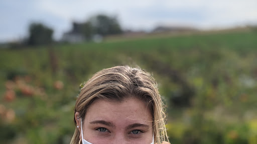 Dairy Farm «Milky Way Farm», reviews and photos, 521 E Uwchlan Ave, Chester Springs, PA 19425, USA