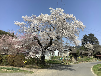 向ヶ岡公園