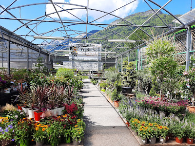 Garden Centre Veyrat à Thônes