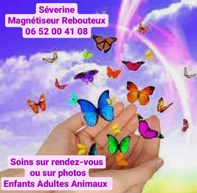 SÉVERINE MAGNÉTISEUR CHARTRES Entreprise individuelle à Chartres