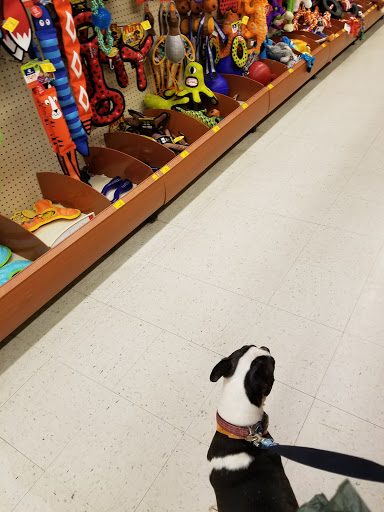 Pet Supply Store «PetSmart», reviews and photos, 3630 Peachtree Pkwy, Suwanee, GA 30024, USA