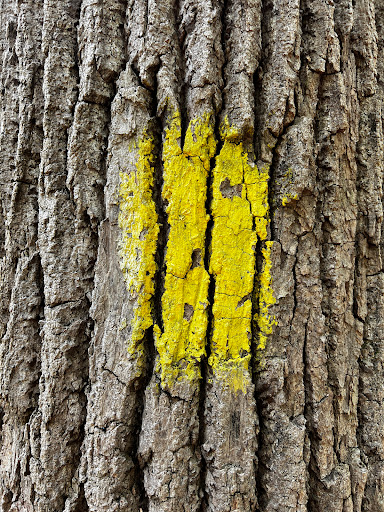 Park «Double Rock Park», reviews and photos, 8211 Glen Rd, Parkville, MD 21234, USA