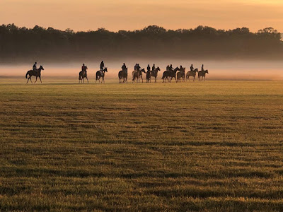 Pegase Insurance à Chantilly