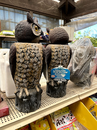 Plant Nursery «San Gabriel Nursery & Florist», reviews and photos, 632 S San Gabriel Blvd, San Gabriel, CA 91776, USA