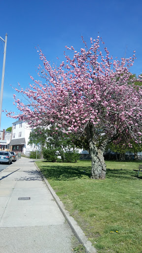 Park «Kelly Park», reviews and photos, S Main St & Globe St, Fall River, MA 02724, USA
