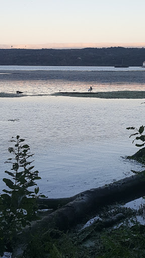 Nature Preserve «Esopus Meadows Preserve», reviews and photos, 257 River Rd, Ulster Park, NY 12487, USA
