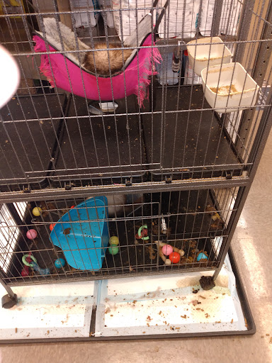 Pet Supply Store «Pet Supplies Plus», reviews and photos, 1530 S Washington St, Crawfordsville, IN 47933, USA