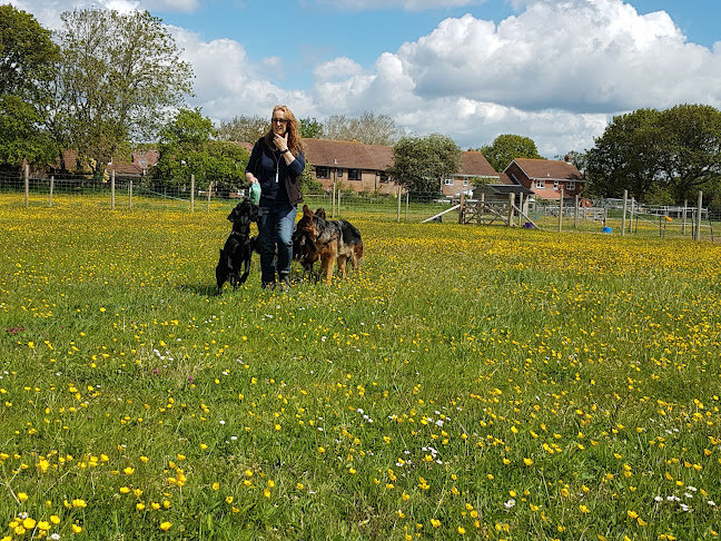 Reviews of Muddy paws dog park in Southampton - Dog trainer