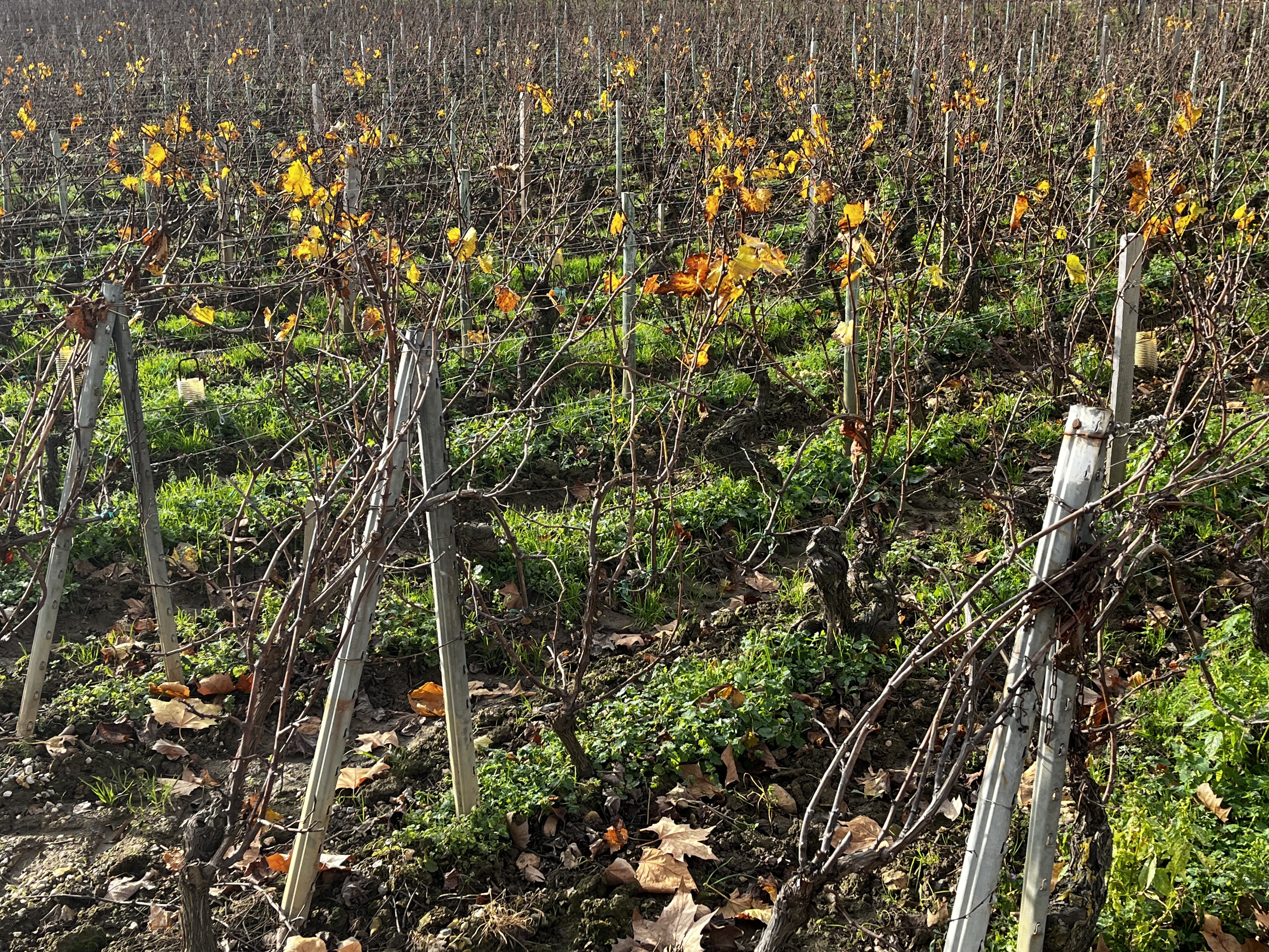 Photo n° 2 de l'avis de Henry.g fait le 30/11/2022 à 17:21