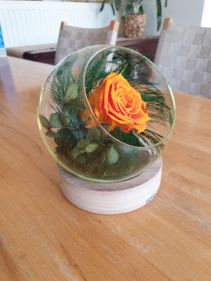 Sevegetal à Eckbolsheim