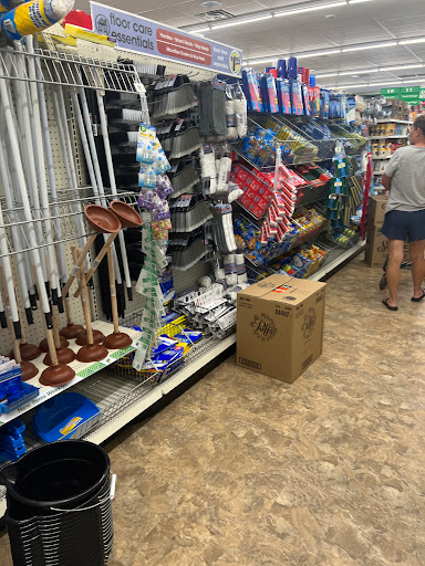 Dollar Store «Dollar Tree», reviews and photos, 8491 Grand River Ave, Brighton, MI 48116, USA