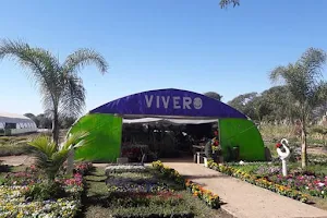 Vivero Valle Grande image