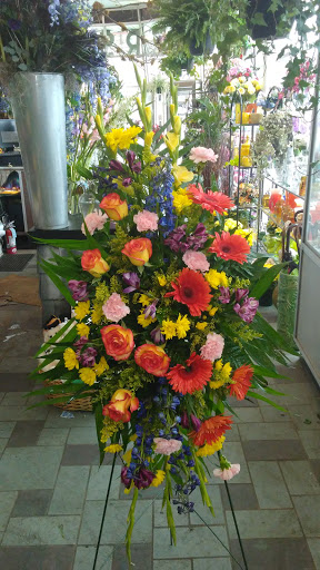 Florist «Stein Your Florist Co.», reviews and photos, 7059 Frankford Ave, Philadelphia, PA 19135, USA