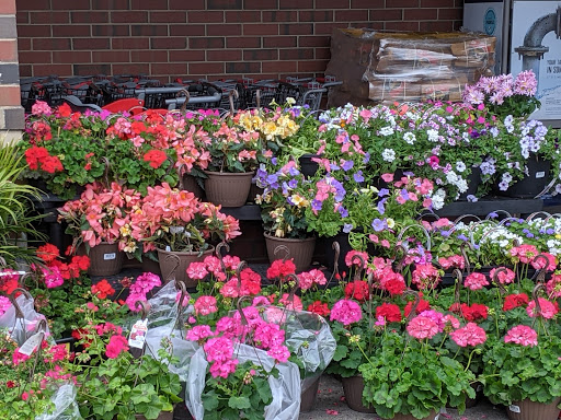 Shopping Mall «Bond Shopping Center», reviews and photos, 1891 S State Rd, Upper Darby, PA 19082, USA