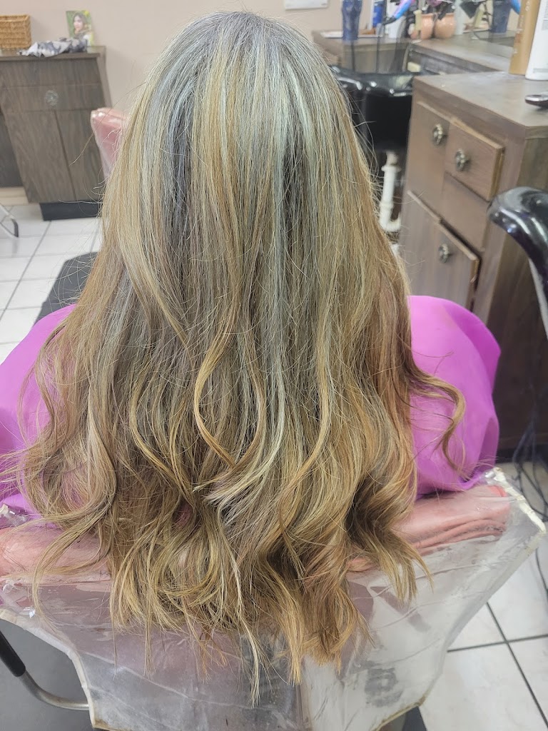 Alicia's Hair Design 87002