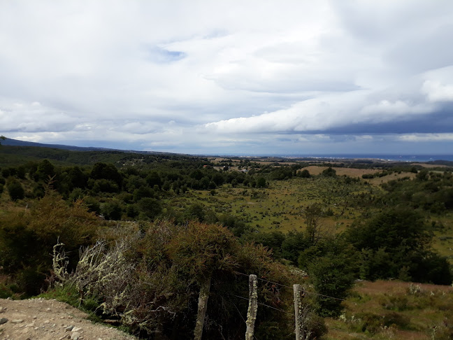 Comentarios y opiniones de Reserva Nacional Magallanes