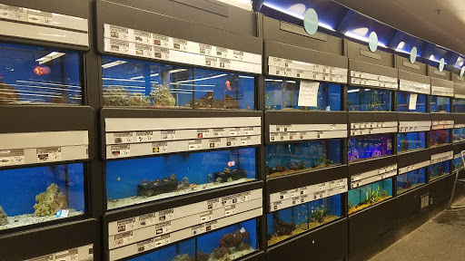 Pet Supply Store «Petco Animal Supplies», reviews and photos, 825 Hartford Turnpike, Waterford, CT 06385, USA