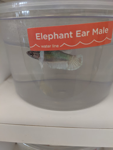 Pet Supply Store «Petco Animal Supplies», reviews and photos, 1215-1309 NJ-33 #1, Hamilton Township, NJ 08690, USA