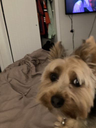 Pet Supply Store «Pet Supplies Plus», reviews and photos, 1970 Portage Trail, Cuyahoga Falls, OH 44223, USA