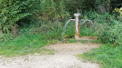 Source d'eau potable
