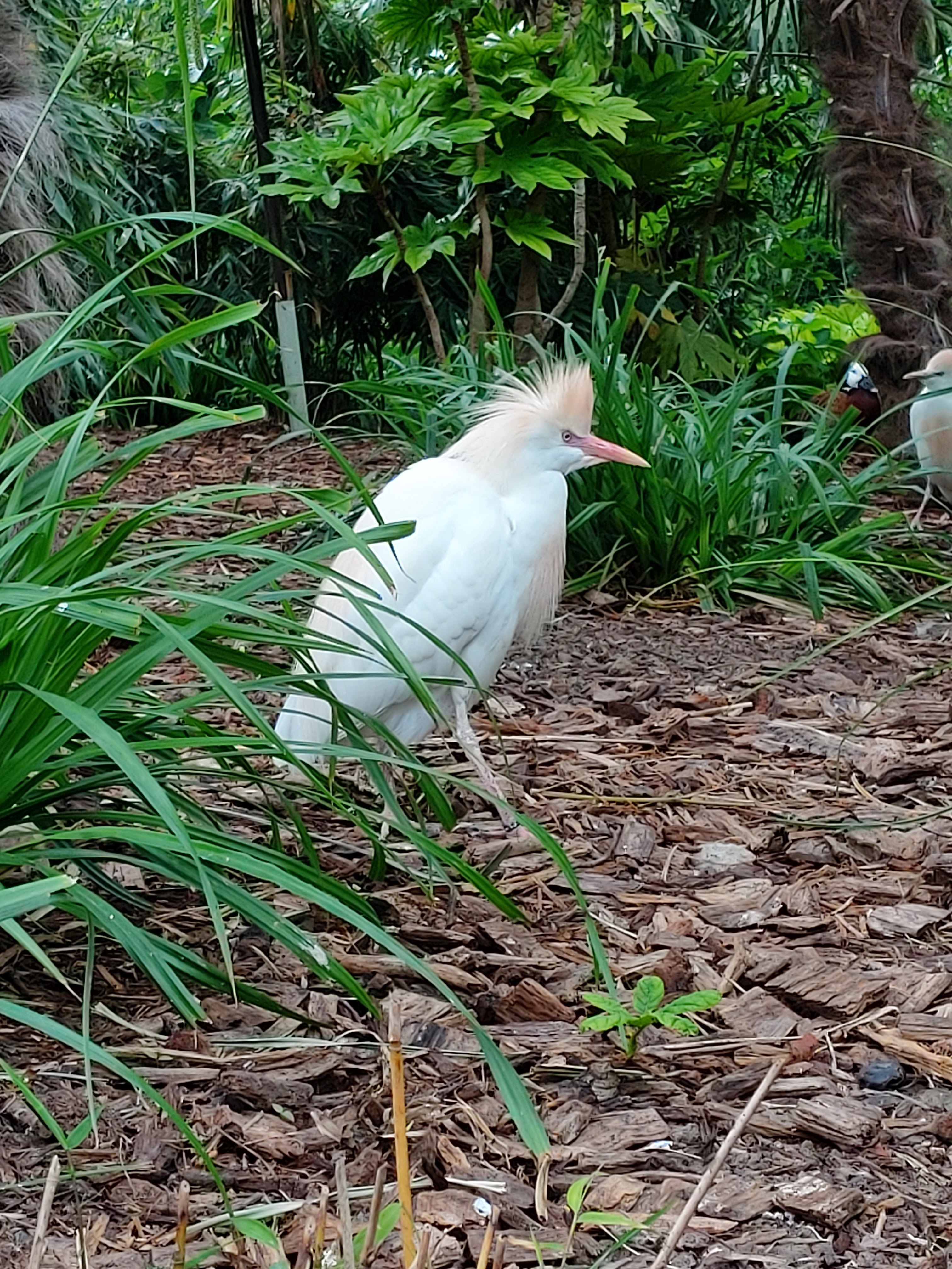 Photo n° 2 de l'avis de DJ.i fait le 12/06/2021 à 15:42