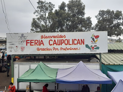 Feria Caupolicán