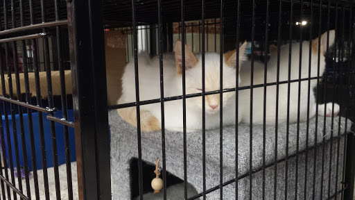 Pet Supply Store «Pet Valu», reviews and photos, 1305 West Seventh Street #28, Frederick, MD 21702, USA