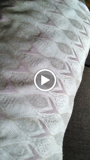 Toy Store «Spunky Skunk», reviews and photos, 344 N Franklin St, Fort Bragg, CA 95437, USA