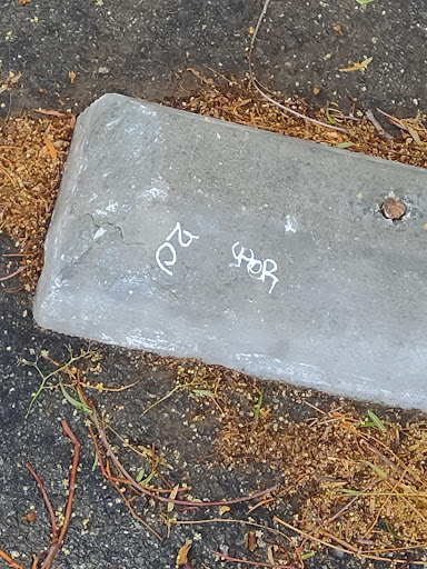 Golf Course «Fairmount Golf Course», reviews and photos, 2681 Dexter Dr, Riverside, CA 92501, USA