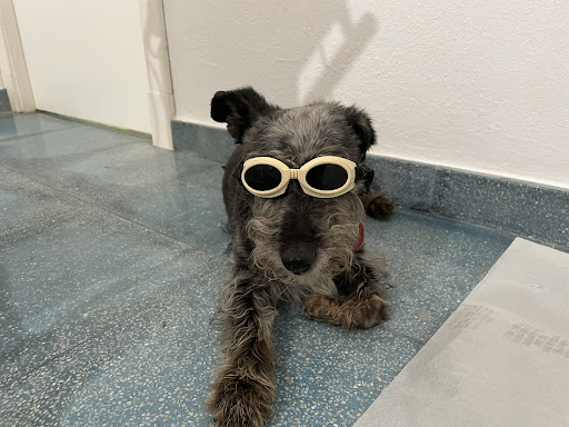 Clínica Veterinaria Jose Angosto en Felanitx