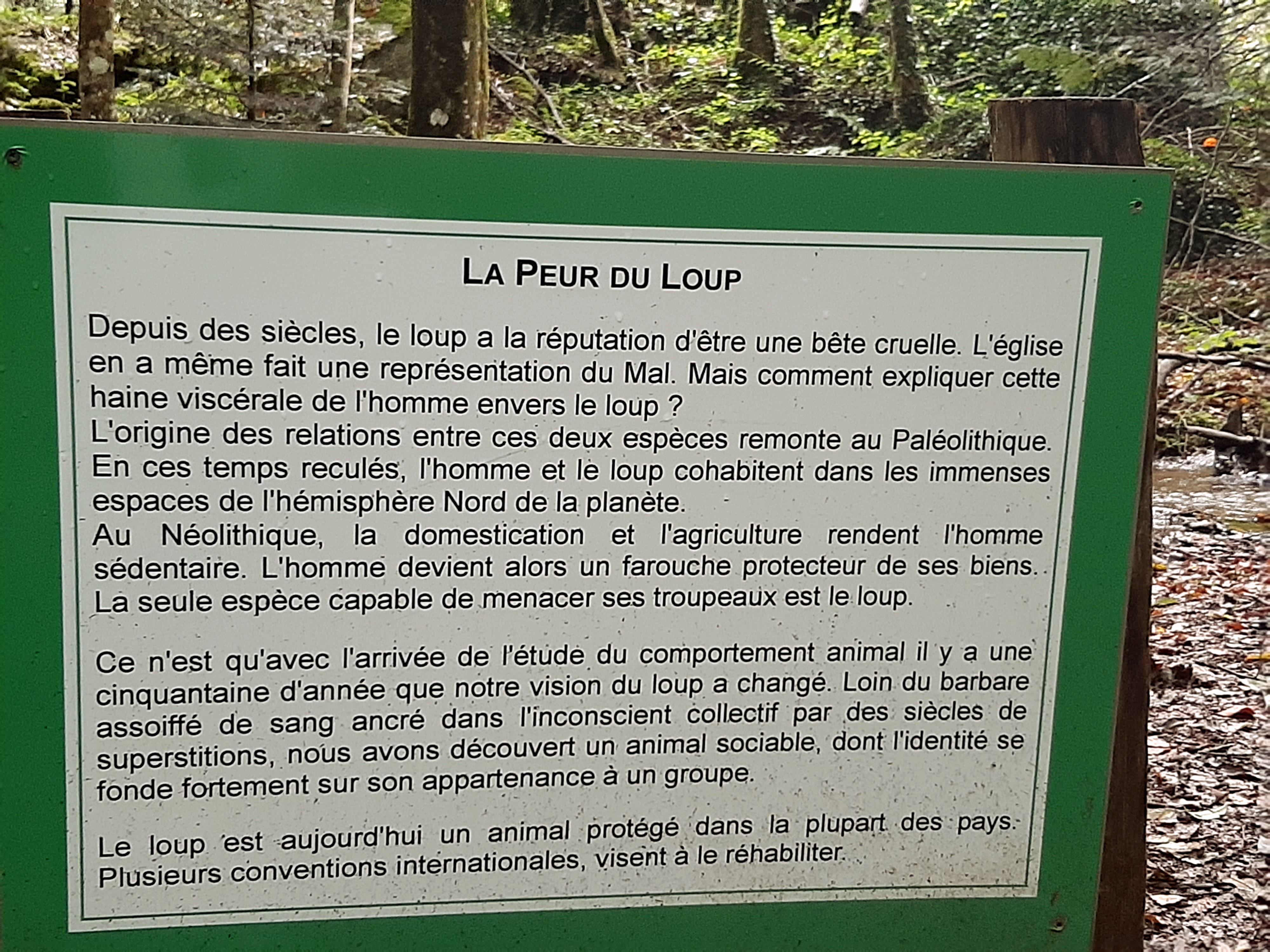 Photo n° 6 de l'avis de Luz.i fait le 27/09/2021 à 19:21