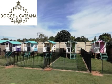 Docge & Catbana pet hotel