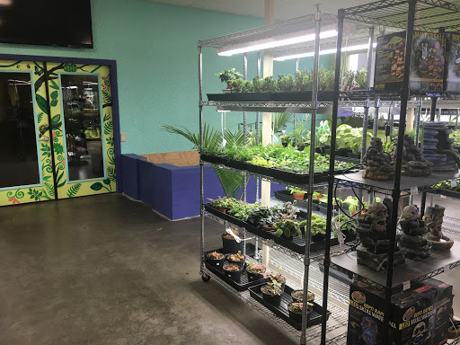 Pet Store «Tye-Dyed Iguana - Reptiles», reviews and photos, 1905 W U.S. 50, Fairview Heights, IL 62208, USA