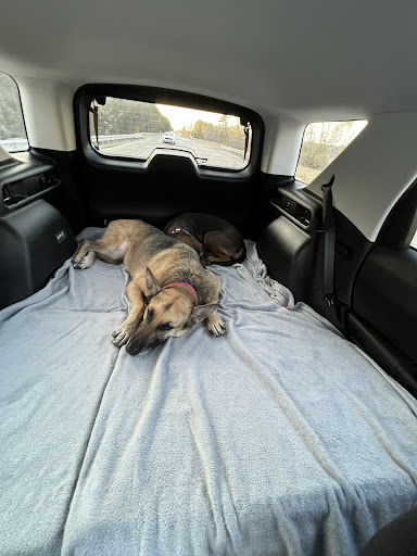 Pet Supply Store «Coastline Pet Supply», reviews and photos, 3530 Northgate Dr, Myrtle Beach, SC 29588, USA